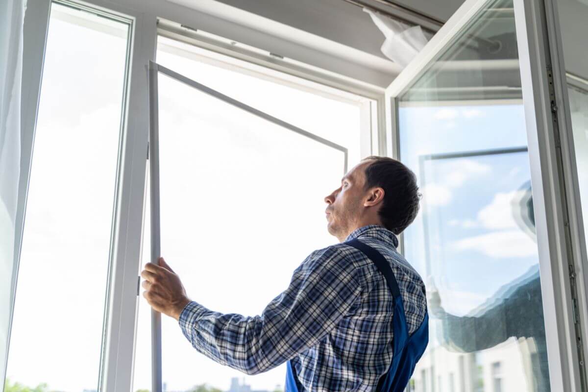 Check the Frame for Damage